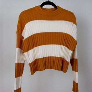 American Eagle Crop Top Sweater